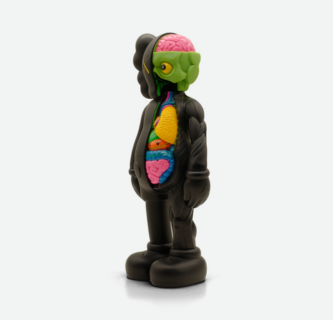 Kaws BFF Companion Half Dissected